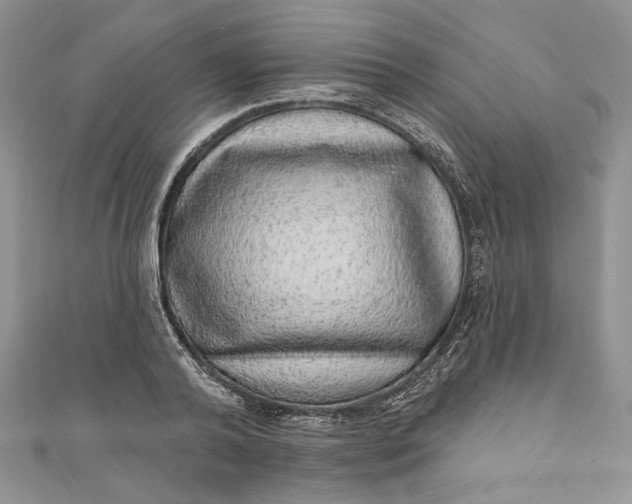 X0000110880792200907021456