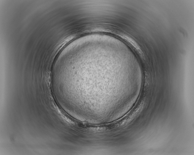 X0000110880793200907021456