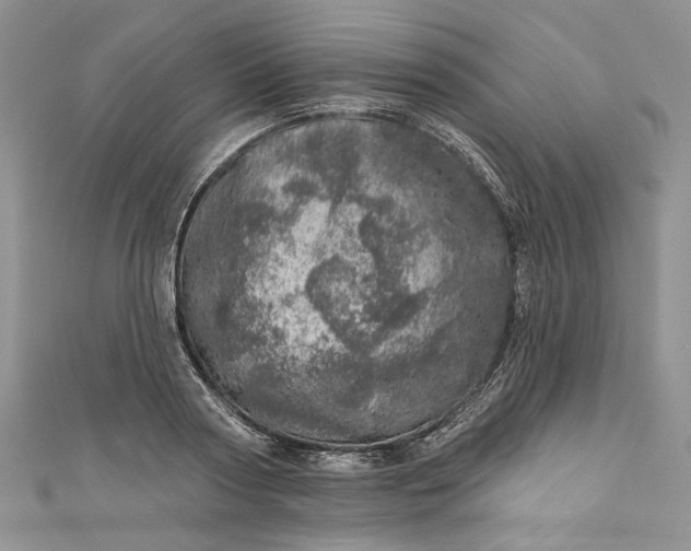 X0000110880794200907021456