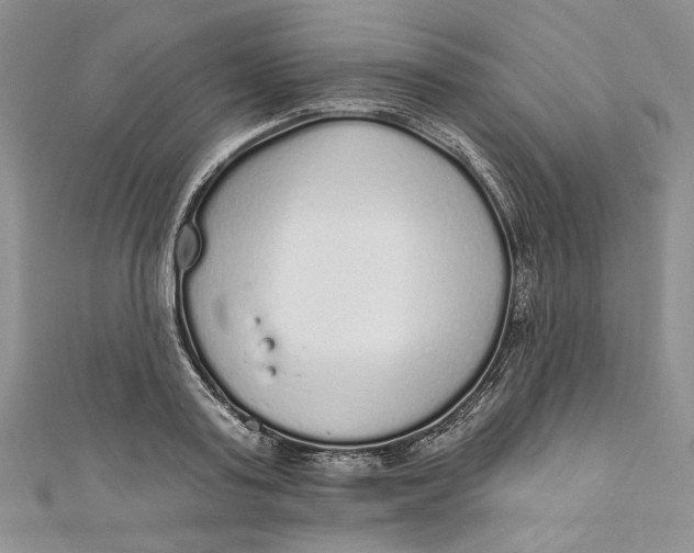 X0000110880795200907021456