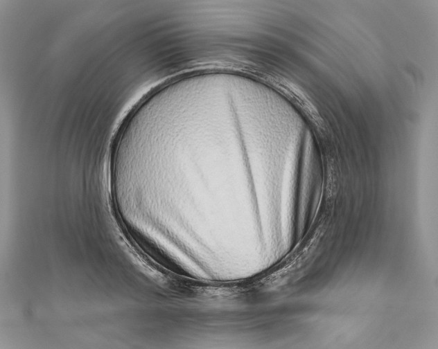 X0000110880796200907021456