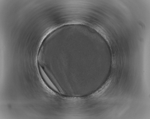 X0000110880797200907021456