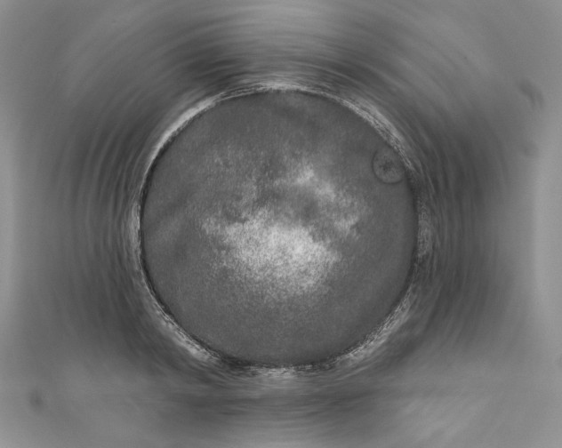 X0000110880798200907021456