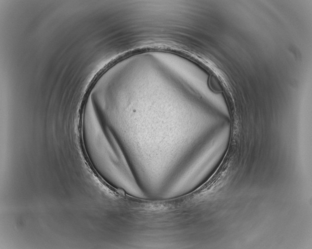 X0000110880799200907021456
