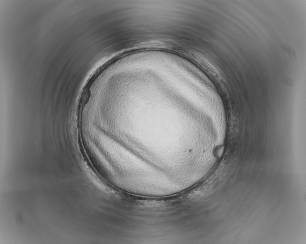 X0000110880800200907021456