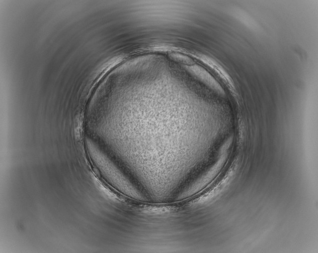X0000110880801200907021456