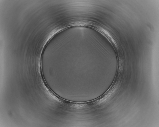 X0000110880802200907021456