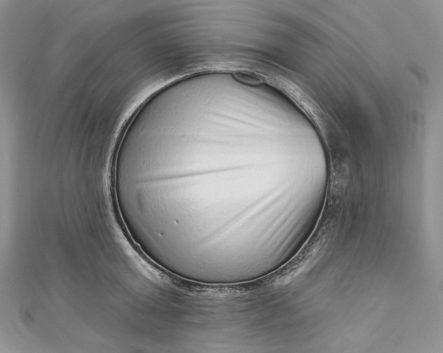 X0000110880803200907021456