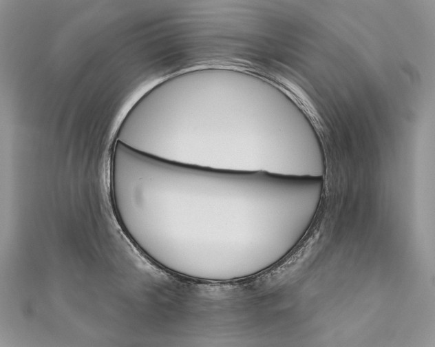 X0000110880804200907021456