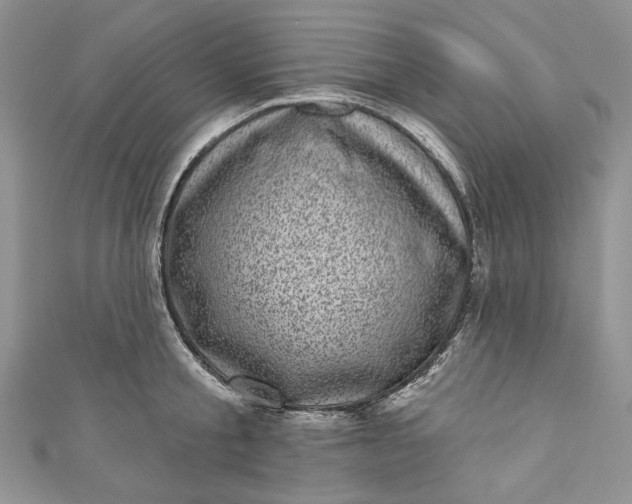 X0000110880805200907021456