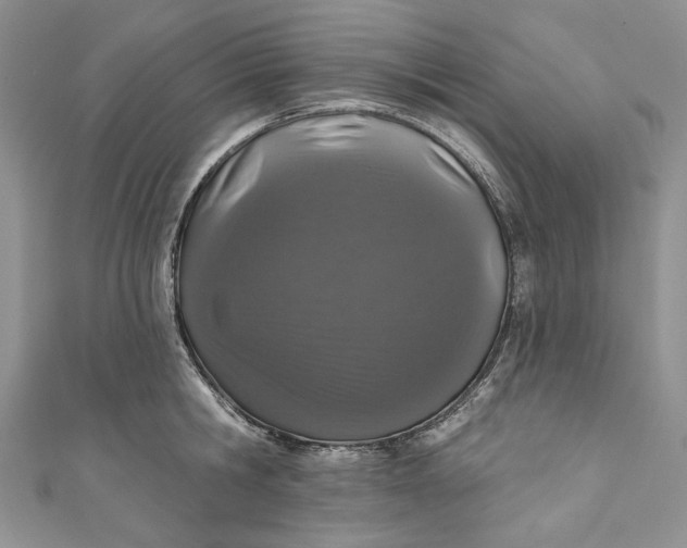 X0000110880806200907021456