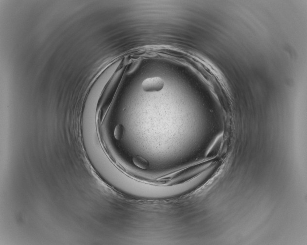 X0000110880809200907021456