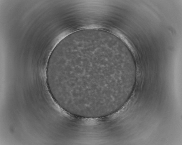 X0000110880810200907021456