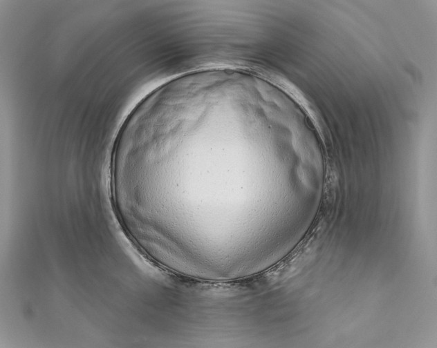 X0000110880811200907021455