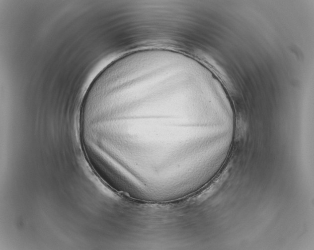 X0000110880812200907021455