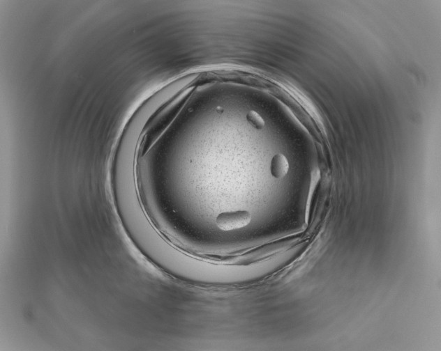 X0000110880813200907021455