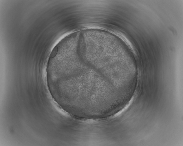 X0000110880814200907021455