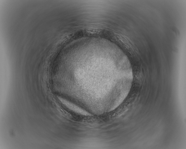 X0000110880817200907021455