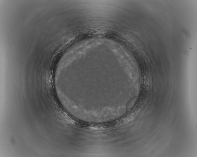 X0000110880818200907021455