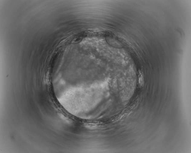 X0000110880819200907021455