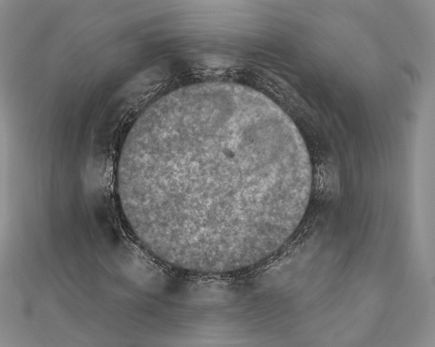 X0000110880820200907021455