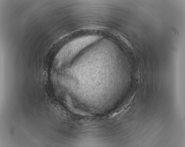 X0000110880821200907021455