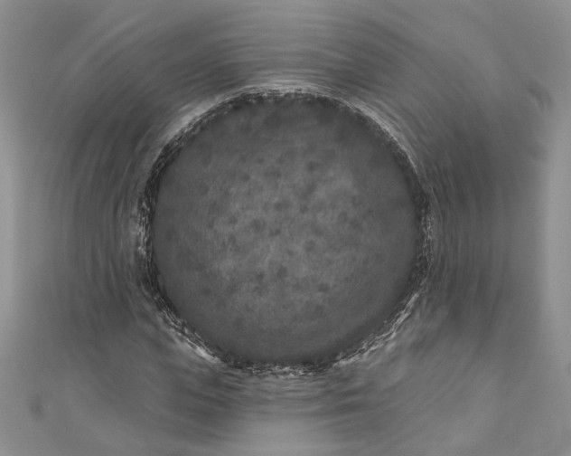 X0000110880823200907021455