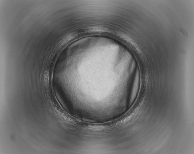 X0000110880825200907021455