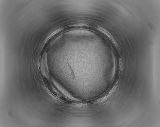 X0000110880826200907021455