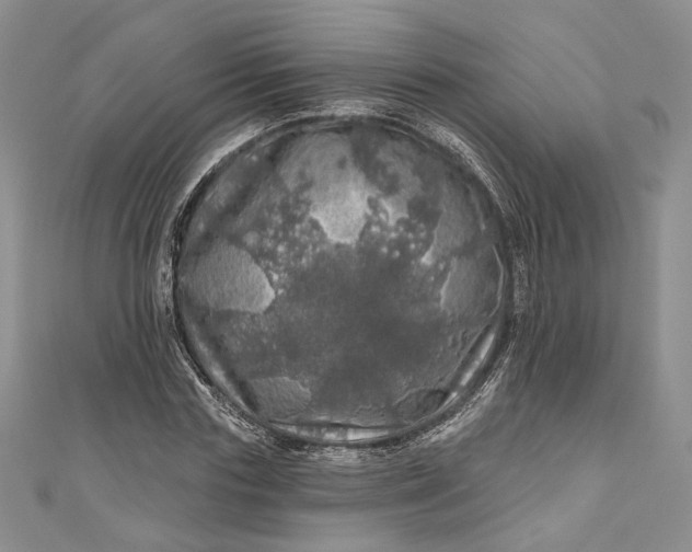X0000110880827200907021455