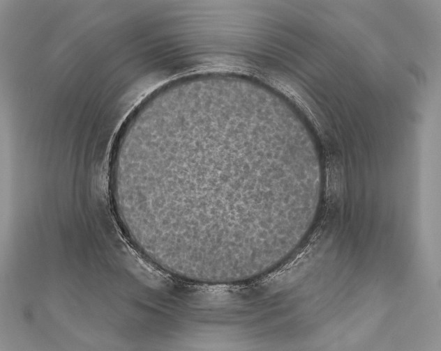 X0000110880828200907021455