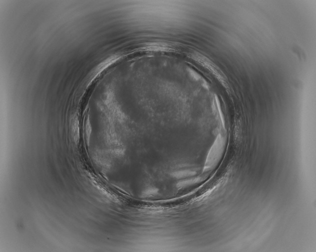X0000110880829200907021455