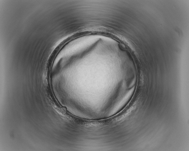 X0000110880830200907021455
