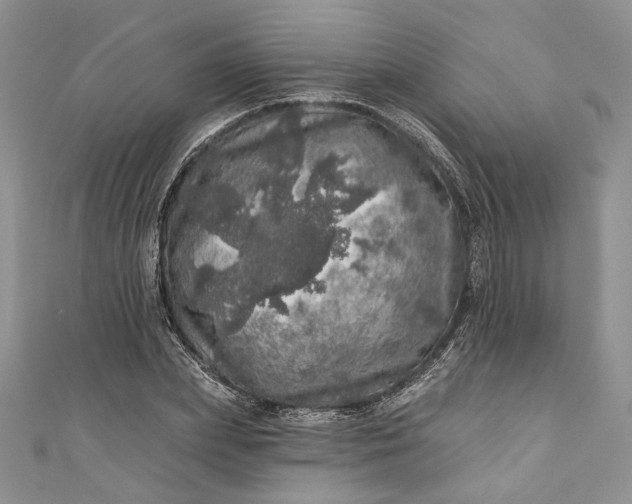 X0000110880831200907021455
