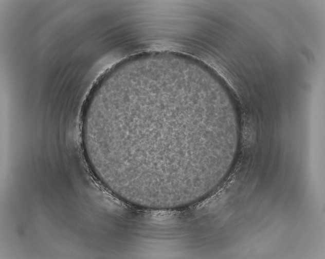 X0000110880832200907021455
