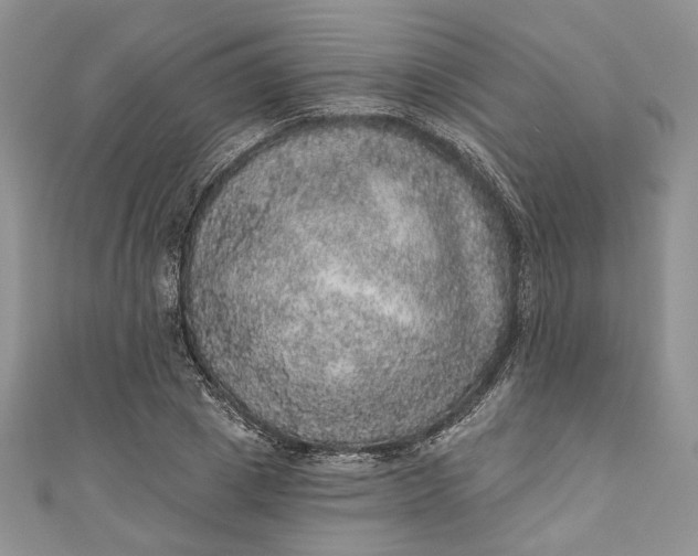 X0000110880833200907021455