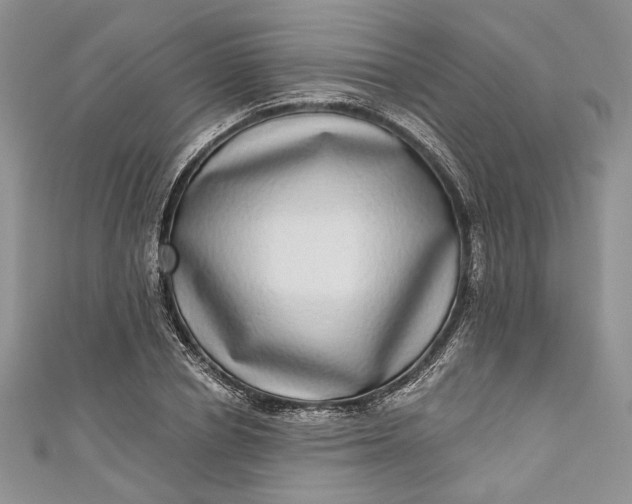 X0000110880834200907021455