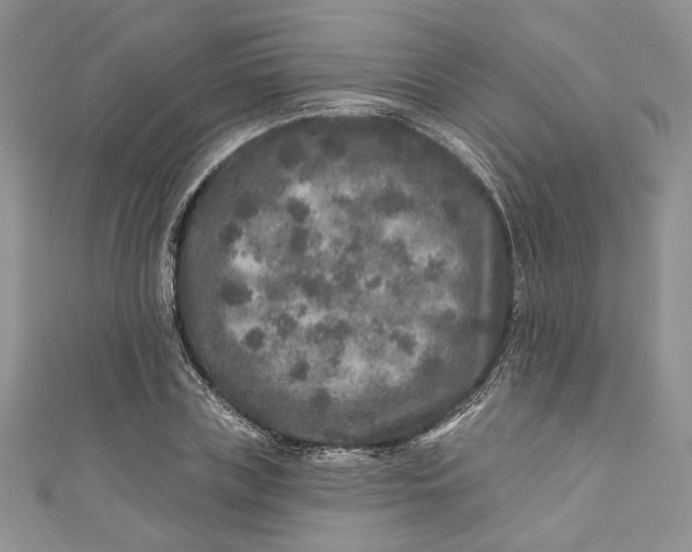 X0000110880835200907021455
