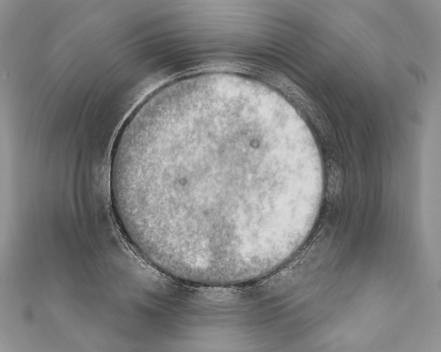 X0000110880836200907021455