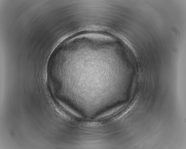 X0000110880837200907021455