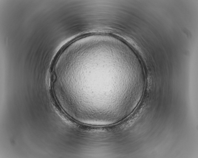 X0000110880838200907021455