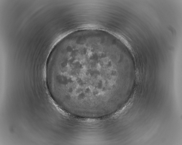 X0000110880839200907021455