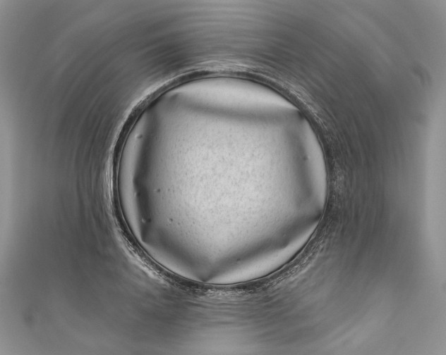 X0000110880840200907021455