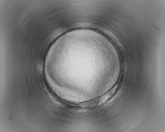 X0000110880841200907021455