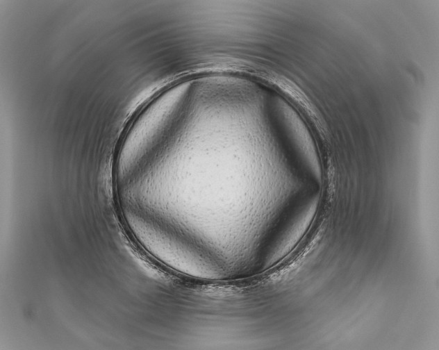 X0000110880842200907021455