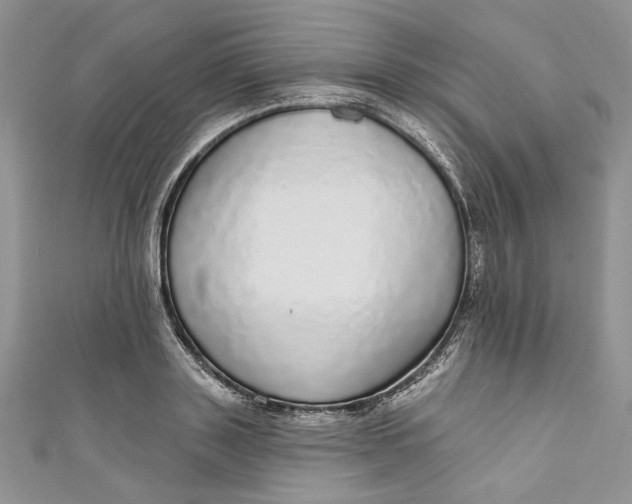 X0000110880843200907021455