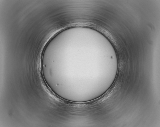 X0000110880844200907021455