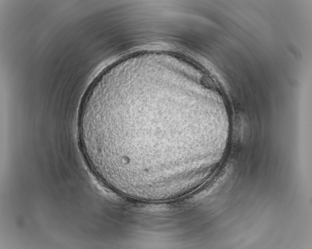 X0000110880845200907021455