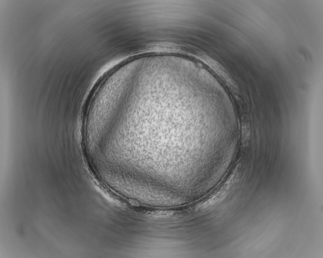 X0000110880846200907021455