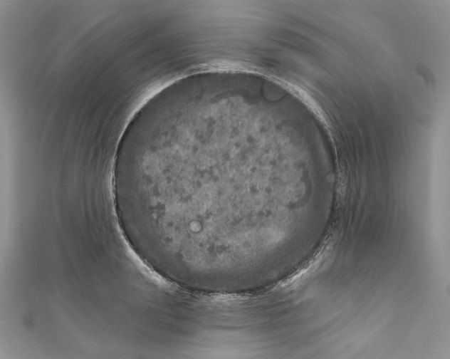 X0000110880847200907021455